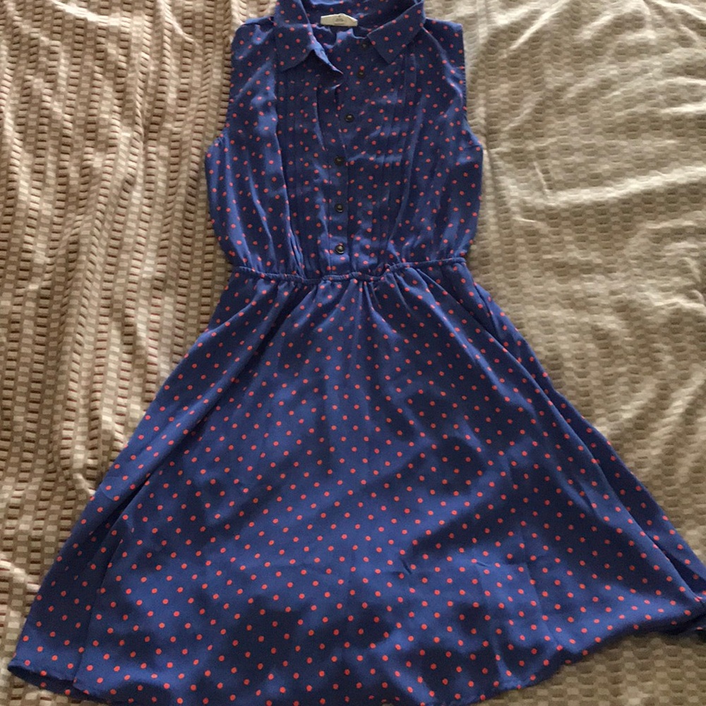 collard polka dot dress